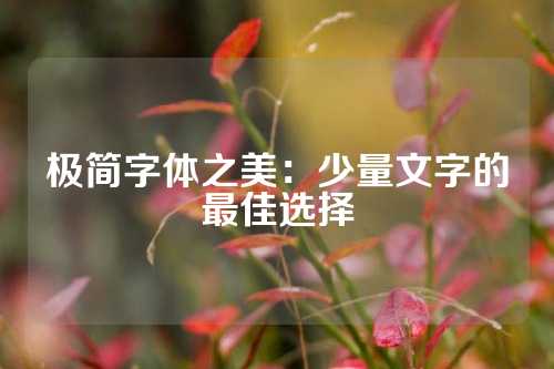 极简字体之美:少量文字的最佳选择