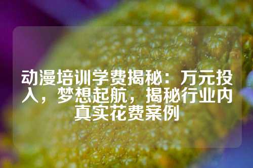 动漫培训学费揭秘：万元投入，梦想起航，揭秘行业内真实花费案例
