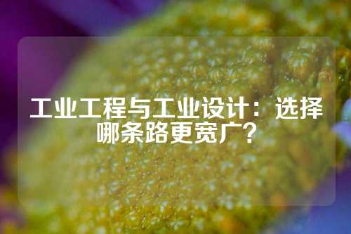 工业工程与工业设计：选择哪条路更宽广？