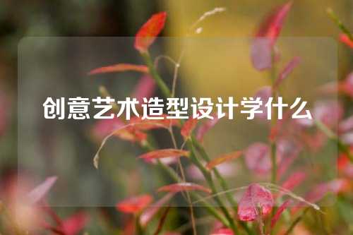 创意艺术造型设计学什么