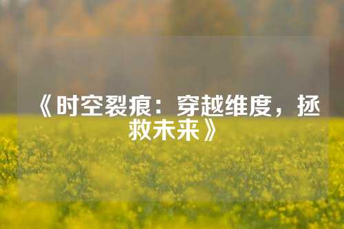 《时空裂痕：穿越维度，拯救未来》