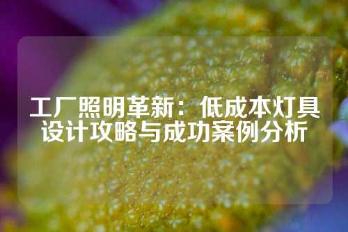 工厂照明革新：低成本灯具设计攻略与成功案例分析