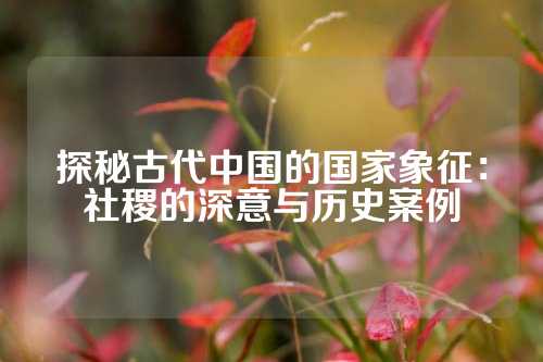 探秘古代中国的国家象征：社稷的深意与历史案例