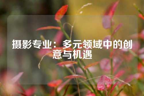 摄影专业：多元领域中的创意与机遇