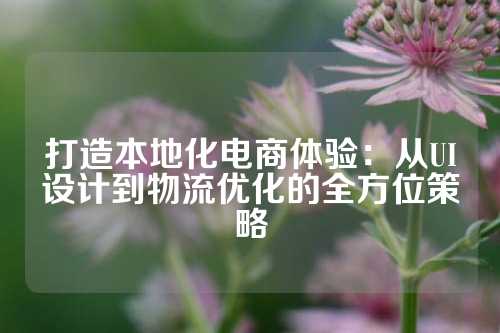 打造本地化电商体验:从UI设计到物流优化的全方位策略