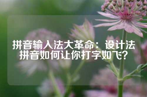 拼音输入法大革命：设计法拼音如何让你打字如飞？
