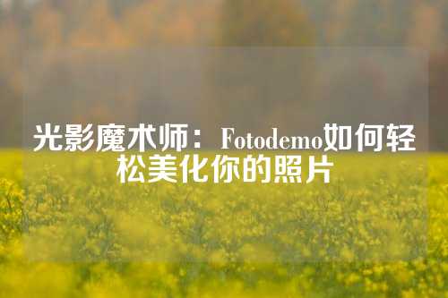 光影魔术师：Fotodemo如何轻松美化你的照片
