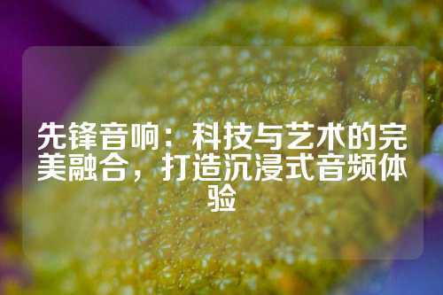 先锋音响：科技与艺术的完美融合，打造沉浸式音频体验