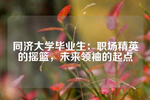 同济大学毕业生：职场精英的摇篮，未来领袖的起点