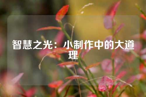 智慧之光:小制作中的大道理