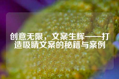 创意无限，文案生辉——打造吸睛文案的秘籍与案例