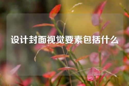 设计封面视觉要素包括什么