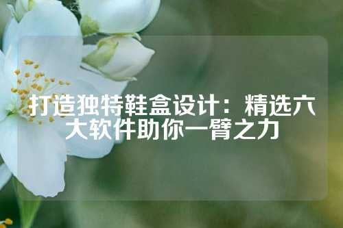 打造独特鞋盒设计：精选六大软件助你一臂之力