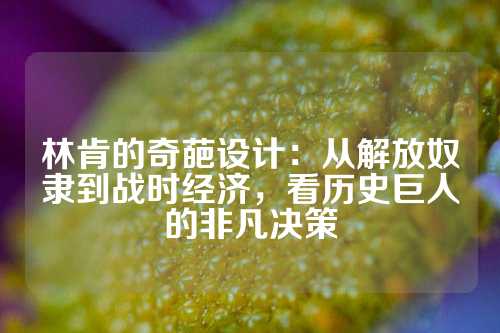 林肯的奇葩设计：从解放奴隶到战时经济，看历史巨人的非凡决策