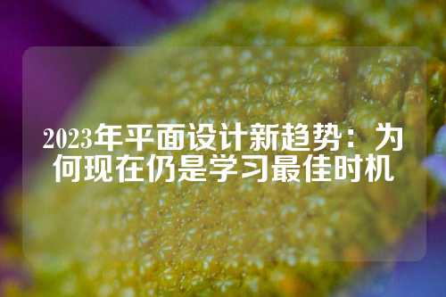 2023年平面设计新趋势：为何现在仍是学习最佳时机