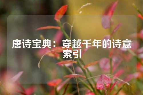 唐诗宝典：穿越千年的诗意索引