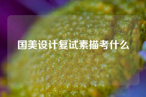 国美设计复试素描考什么