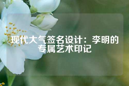现代大气签名设计：李明的专属艺术印记