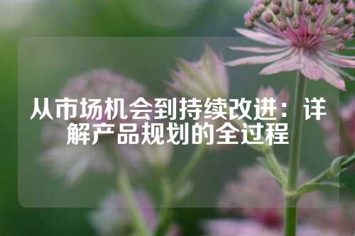 从市场机会到持续改进：详解产品规划的全过程