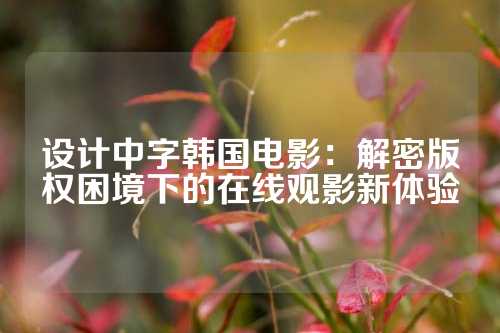 设计中字韩国电影：解密版权困境下的在线观影新体验