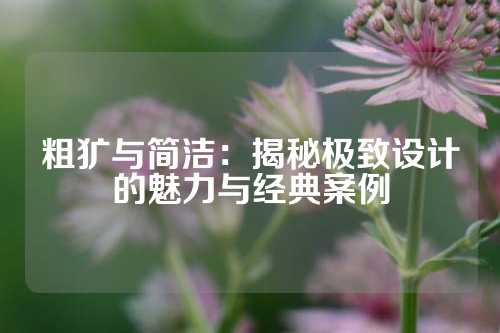 粗犷与简洁：揭秘极致设计的魅力与经典案例