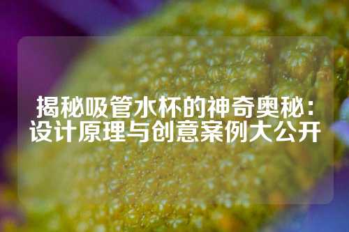 揭秘吸管水杯的神奇奥秘：设计原理与创意案例大公开