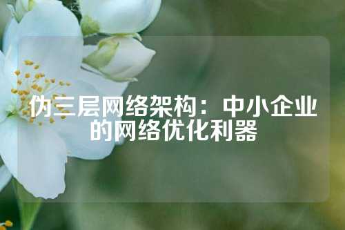 伪三层网络架构：中小企业的网络优化利器