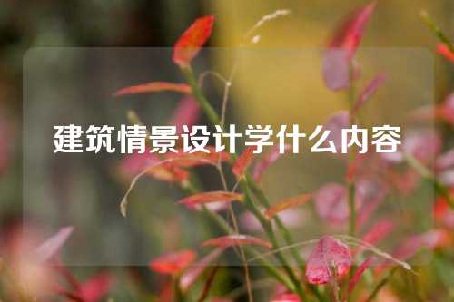 建筑情景设计学什么内容