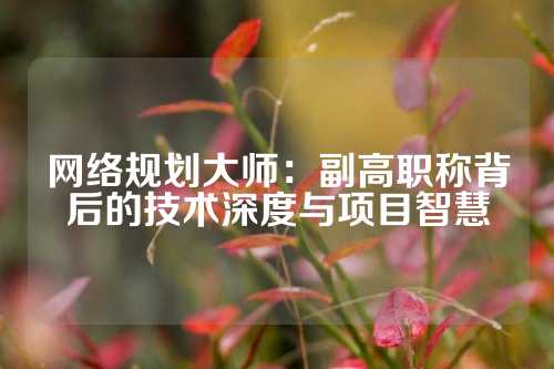 网络规划大师:副高职称背后的技术深度与项目智慧