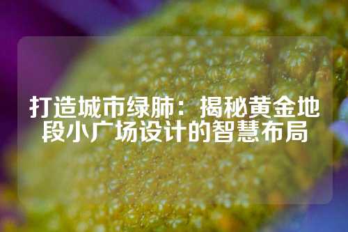 打造城市绿肺:揭秘黄金地段小广场设计的智慧布局