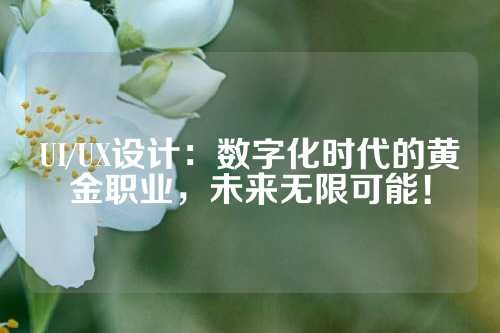 UI/UX设计：数字化时代的黄金职业，未来无限可能！
