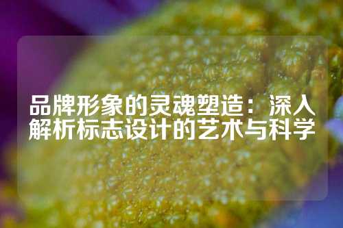 品牌形象的灵魂塑造：深入解析标志设计的艺术与科学