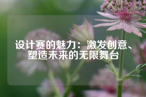 设计赛的魅力：激发创意、塑造未来的无限舞台