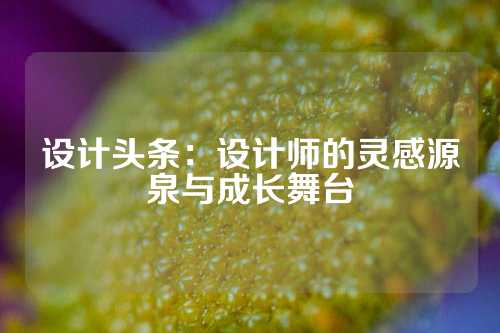 设计头条：设计师的灵感源泉与成长舞台
