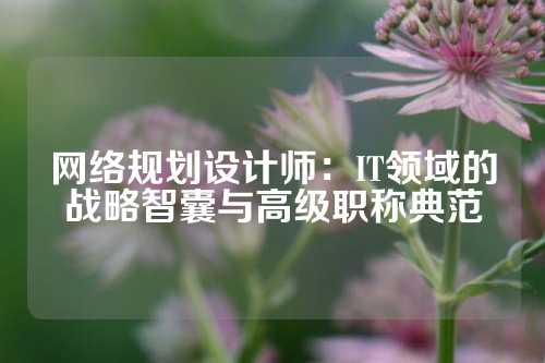 网络规划设计师：IT领域的战略智囊与高级职称典范