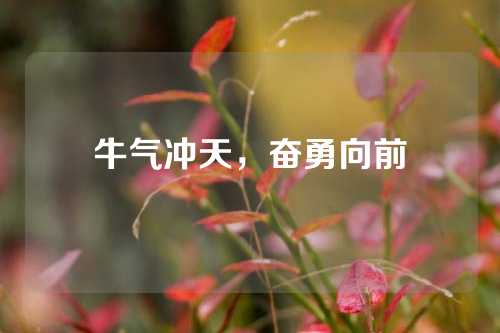 牛气冲天，奋勇向前
