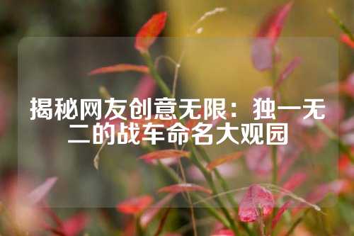 揭秘网友创意无限:独一无二的战车命名大观园