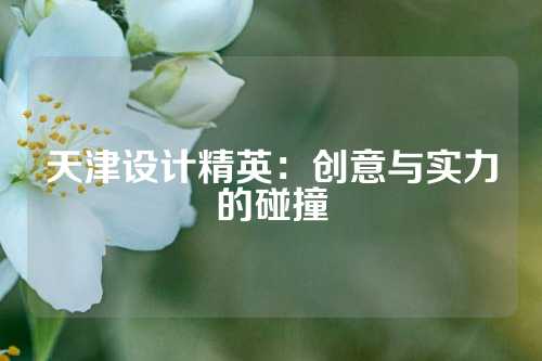 天津设计精英：创意与实力的碰撞