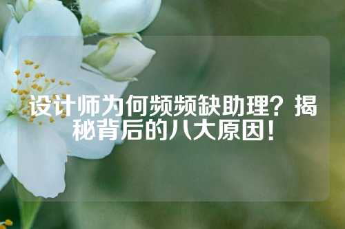 设计师为何频频缺助理？揭秘背后的八大原因！