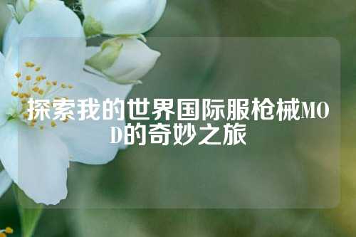 探索我的世界国际服枪械MOD的奇妙之旅