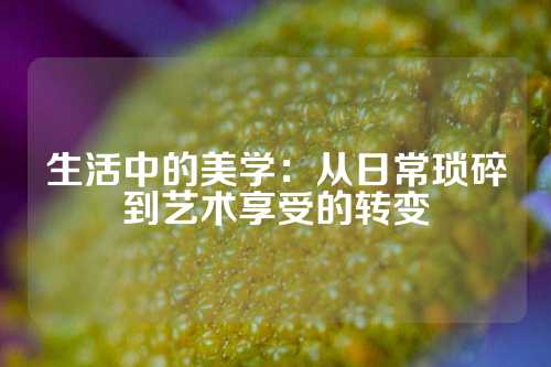 生活中的美学：从日常琐碎到艺术享受的转变