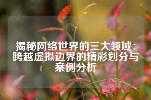 揭秘网络世界的三大领域：跨越虚拟边界的精彩划分与案例分析