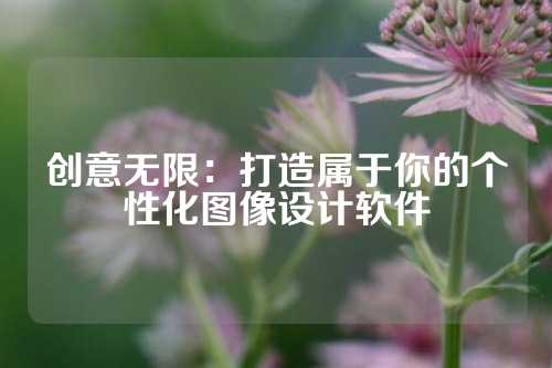 创意无限：打造属于你的个性化图像设计软件