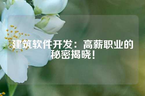 建筑软件开发：高薪职业的秘密揭晓！