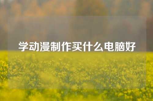 学动漫制作买什么电脑好
