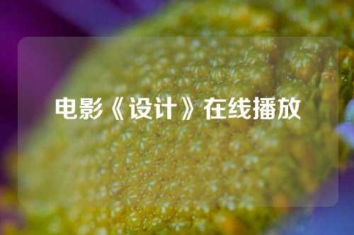 电影《设计》在线播放