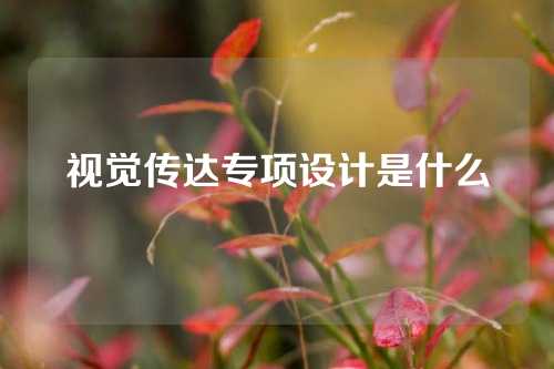 视觉传达专项设计是什么