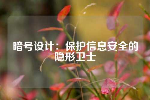 暗号设计：保护信息安全的隐形卫士