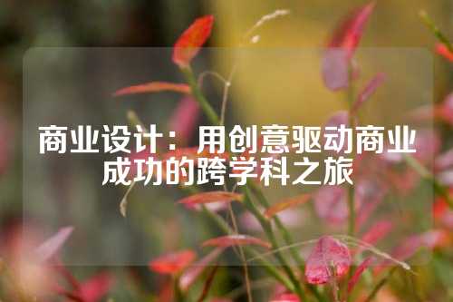 商业设计：用创意驱动商业成功的跨学科之旅