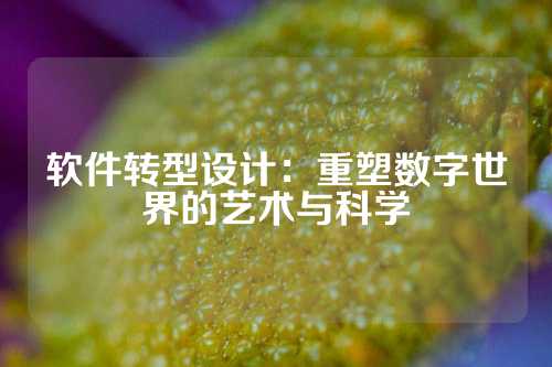 软件转型设计：重塑数字世界的艺术与科学